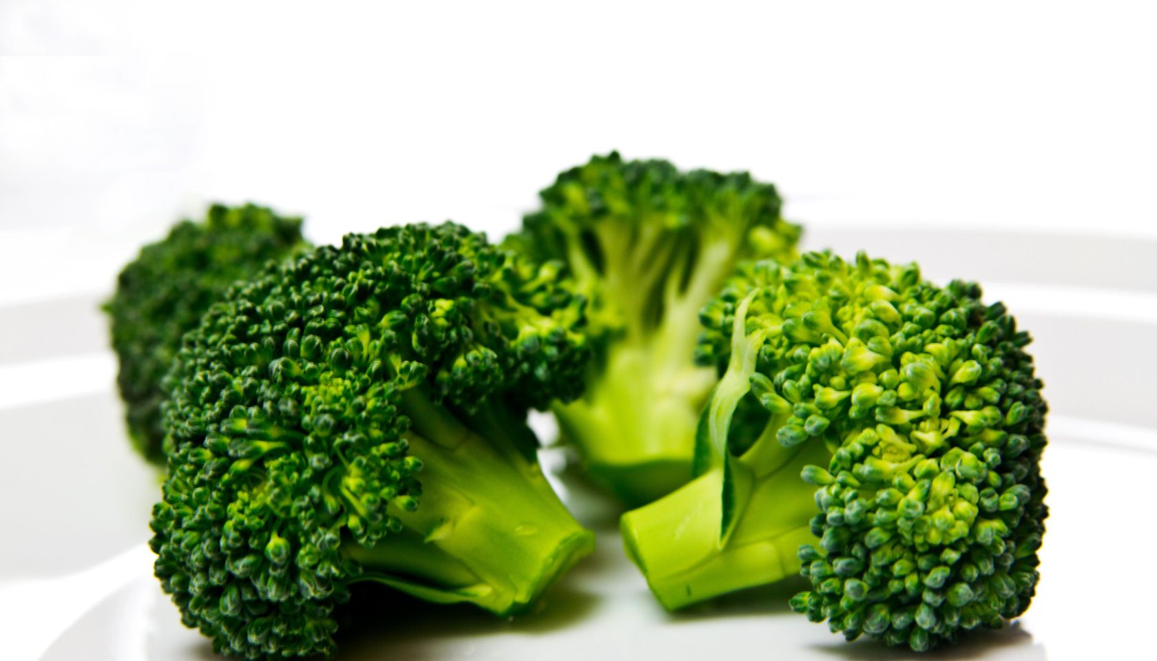 fresh brokkoli florets on white plate