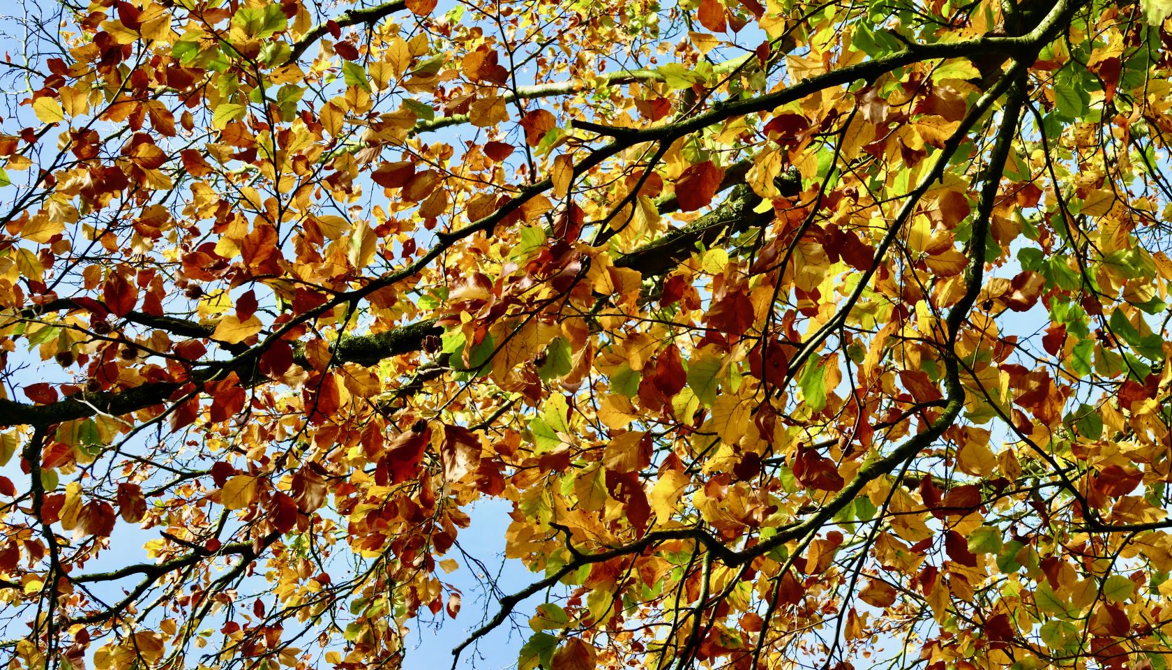 Seasonal weather