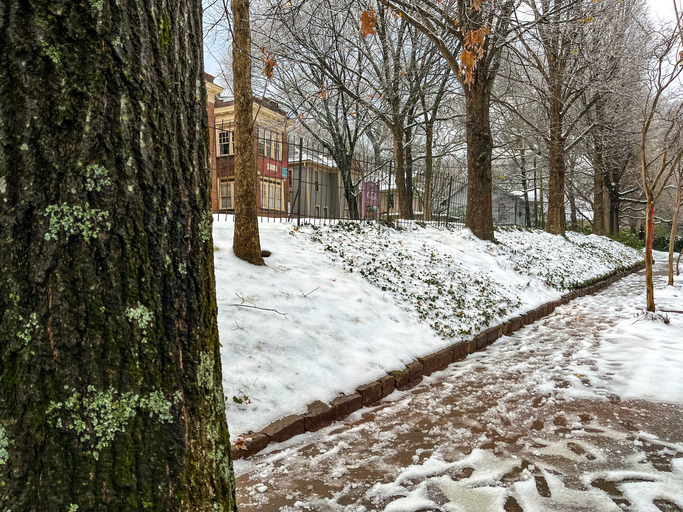 January Snowfall In Atlanta Georgia