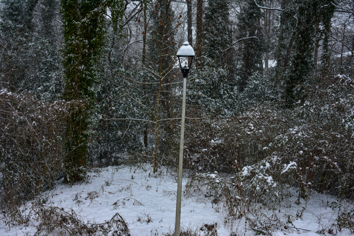 January Snowfall In Atlanta Georgia