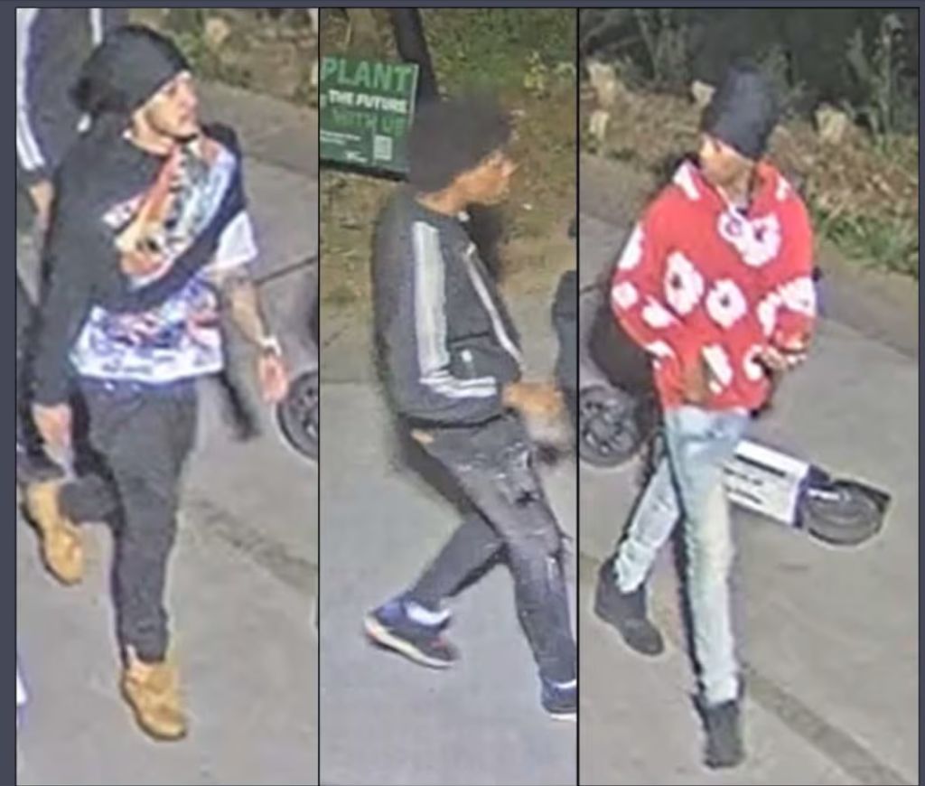 Piedmont Park Shooting 4/4/26 - Persons of Interest