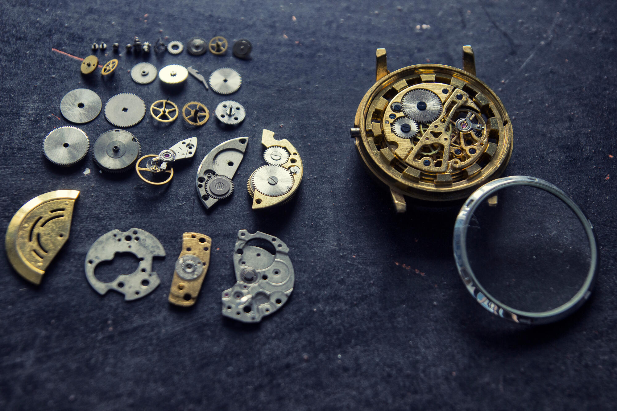 Eco-Drive Watch: A gamechanger in modern watchmaking